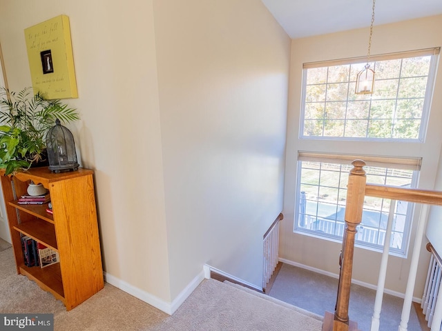 stairs with carpet flooring