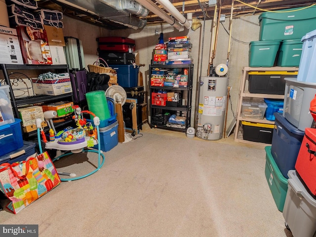 storage area featuring gas water heater