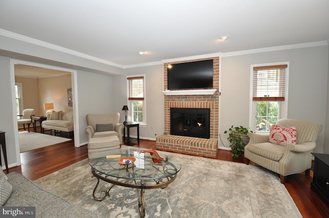 living room with crown molding, dark wood-type flooring, and a fireplace