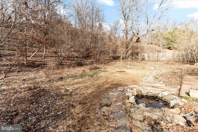 view of local wilderness