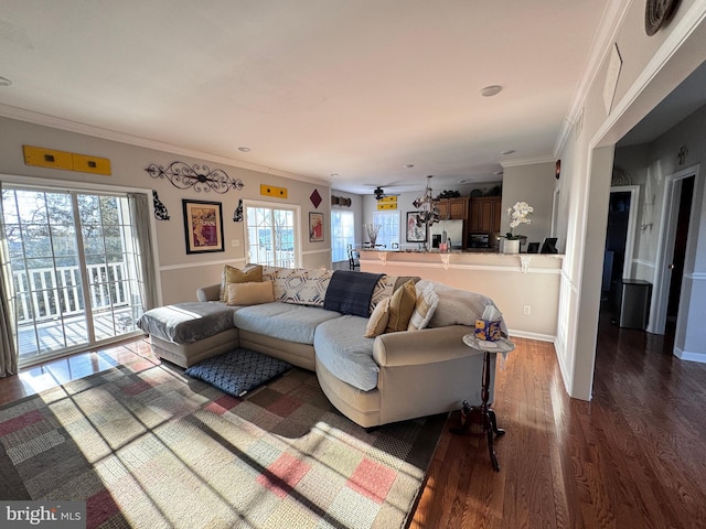 living area with dark wood-style floors, baseboards, and crown molding