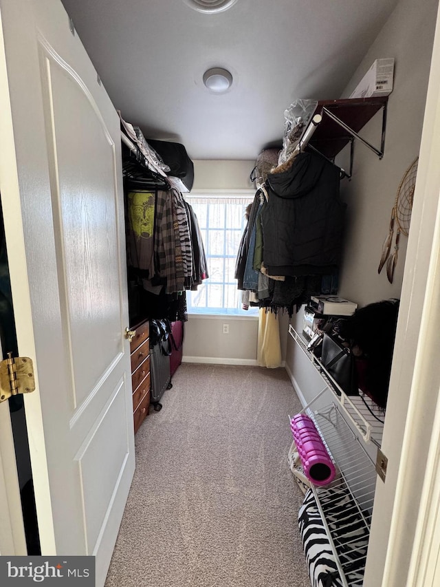 walk in closet featuring light carpet