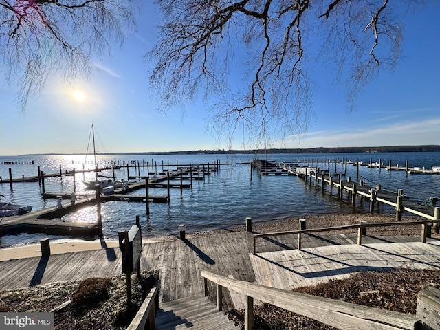 dock area with a water view