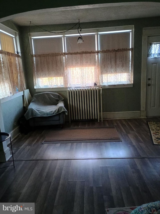 foyer entrance featuring dark wood-type flooring, a healthy amount of sunlight, and radiator