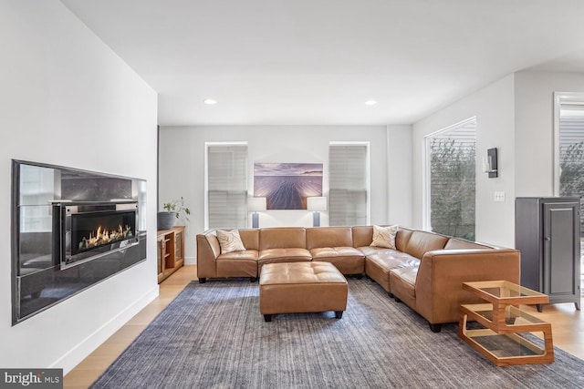 living room with hardwood / wood-style flooring