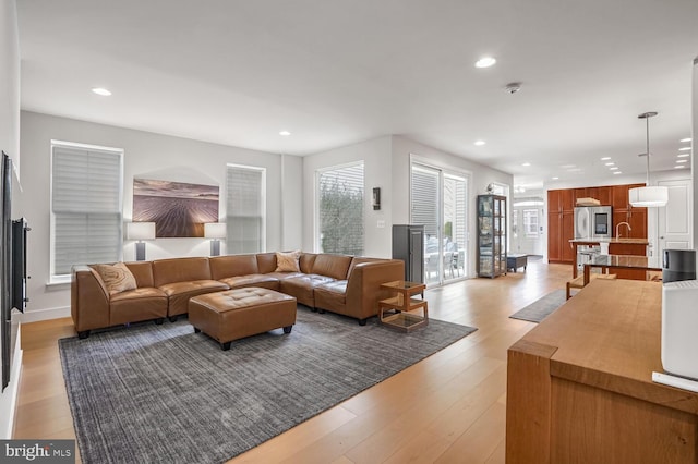 living room featuring sink and light hardwood / wood-style floors