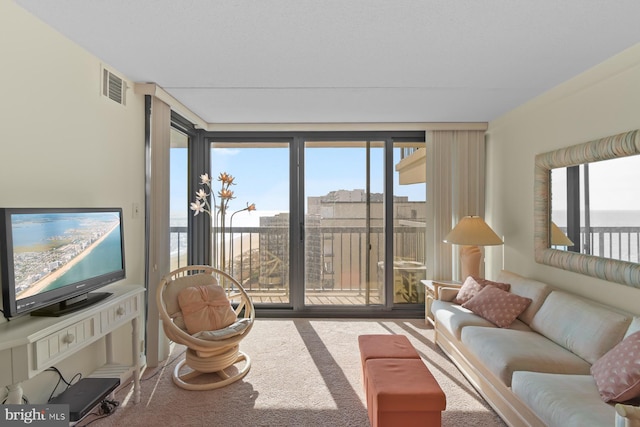 living room featuring plenty of natural light and carpet