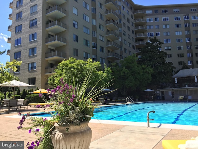 2801 New Mexico Ave NW Unit 414, Washington, DC 20007 - view of community pool