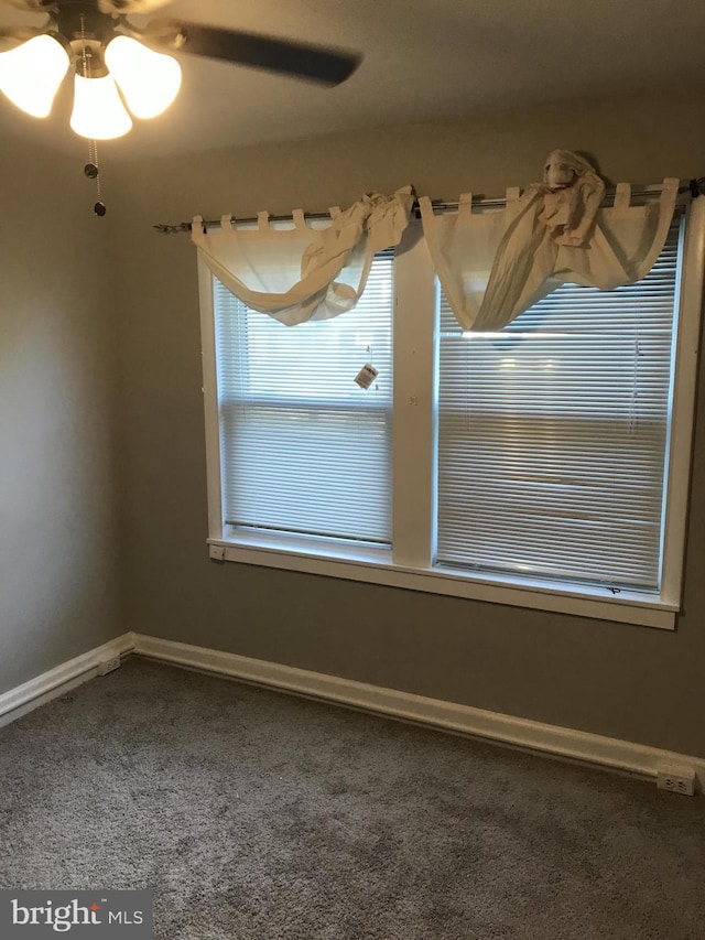 unfurnished room with carpet