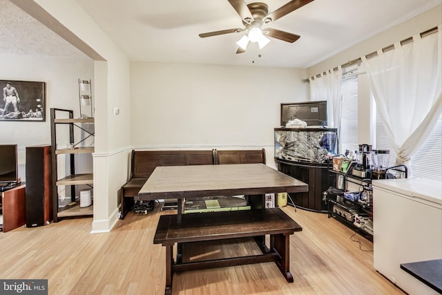 dining room with ceiling fan and light hardwood / wood-style flooring