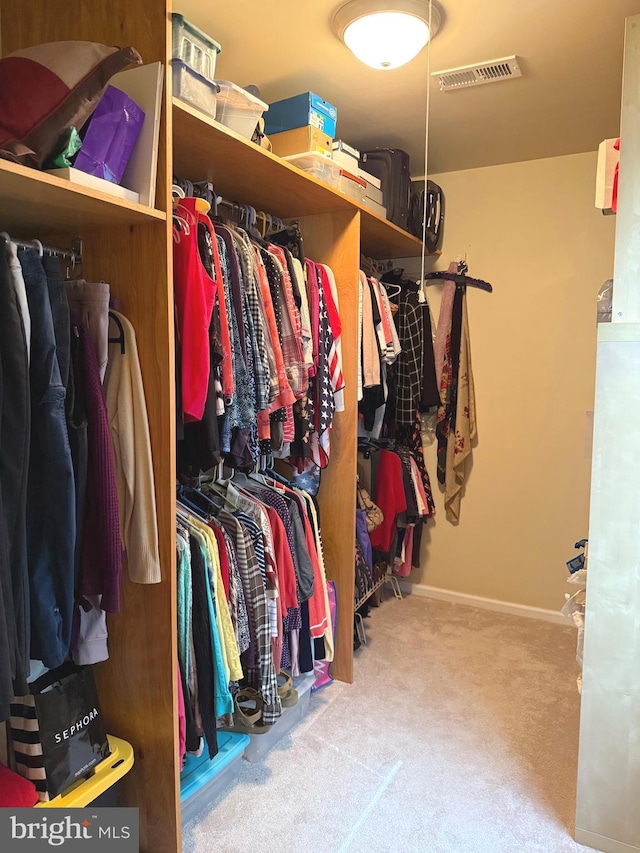 spacious closet featuring carpet floors