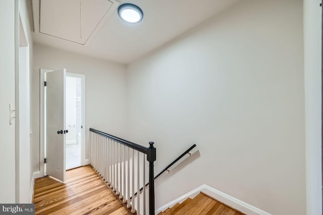 stairway featuring wood-type flooring