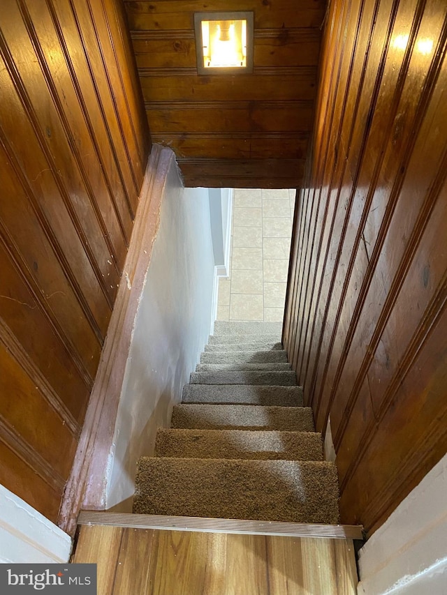 staircase featuring wood walls