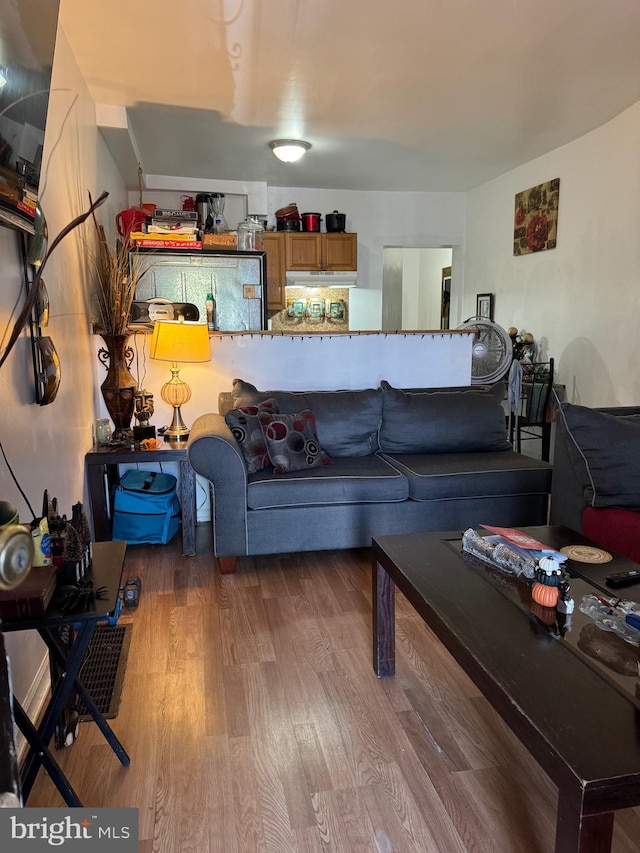 living room featuring hardwood / wood-style floors