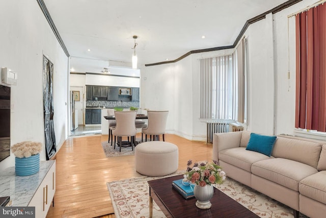 living room featuring radiator, crown molding, and light hardwood / wood-style floors