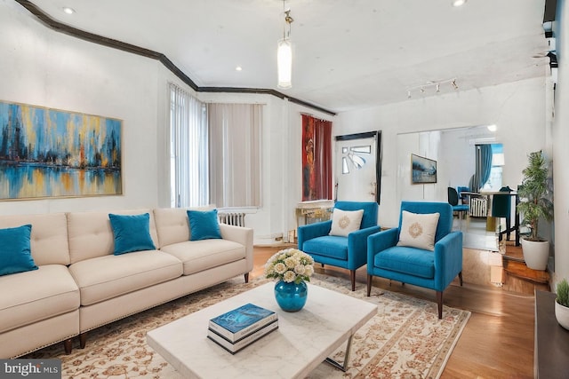 living room featuring crown molding and light wood-type flooring