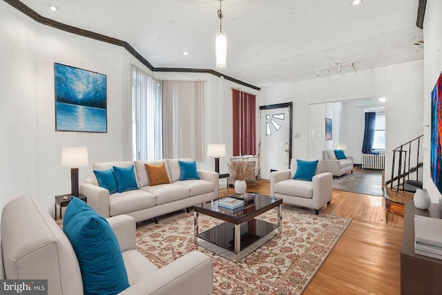 living room with ornamental molding, radiator heating unit, and hardwood / wood-style floors