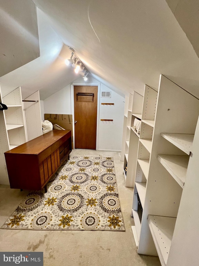 spacious closet featuring lofted ceiling