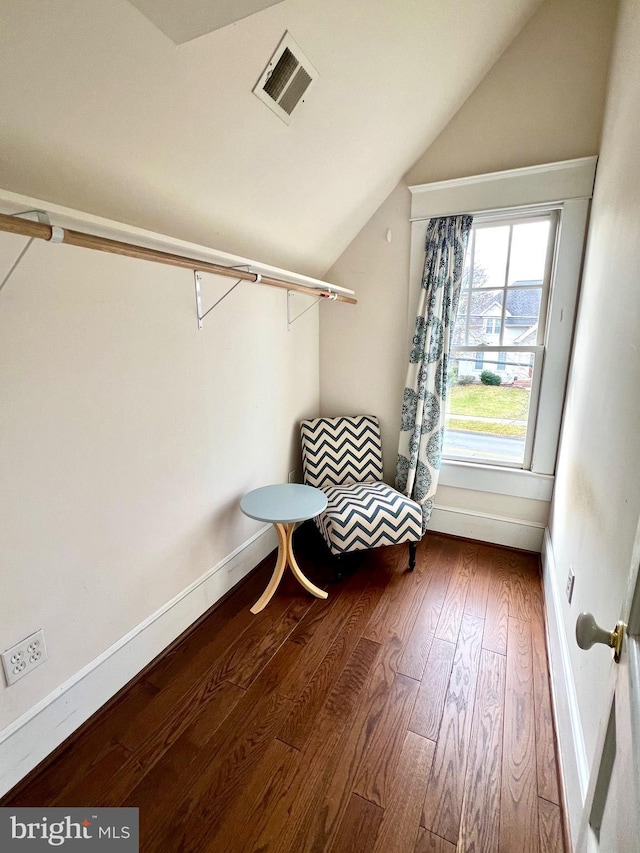 spacious closet with lofted ceiling and wood-type flooring