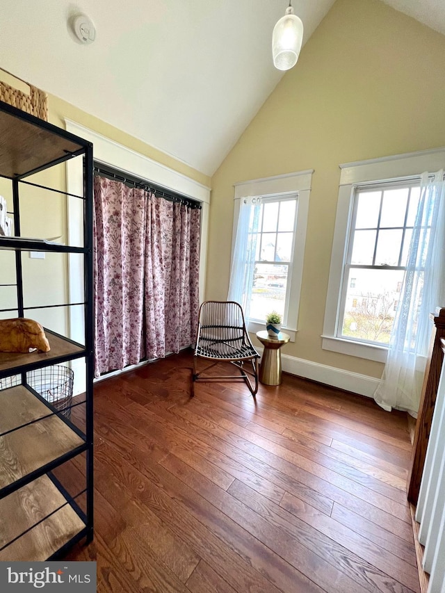 living area with hardwood / wood-style floors and high vaulted ceiling