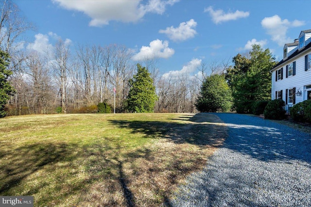 view of yard with gravel driveway