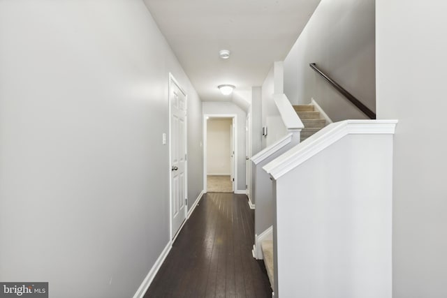 hall with dark hardwood / wood-style flooring