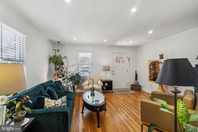 living room featuring wood-type flooring