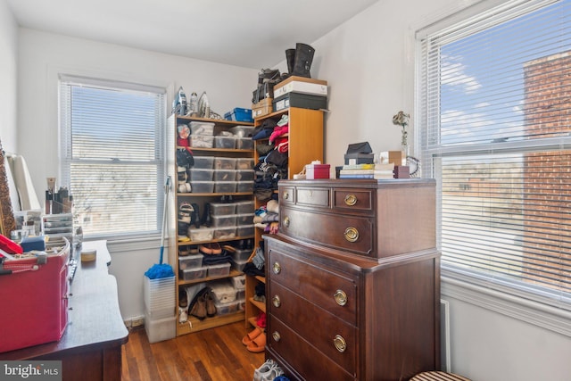 miscellaneous room featuring dark hardwood / wood-style flooring