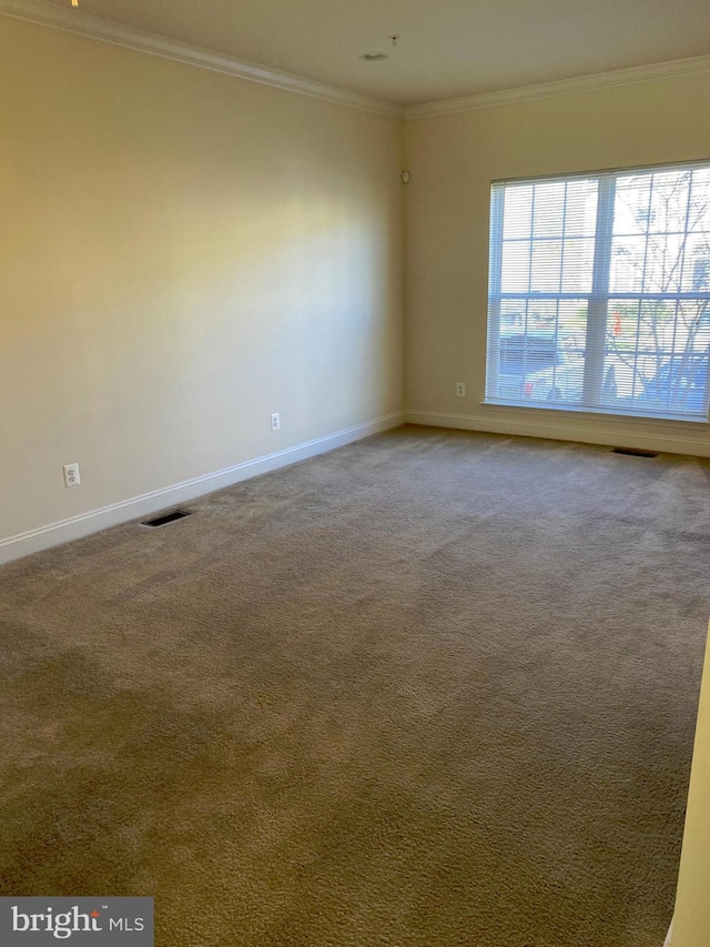 carpeted spare room featuring ornamental molding