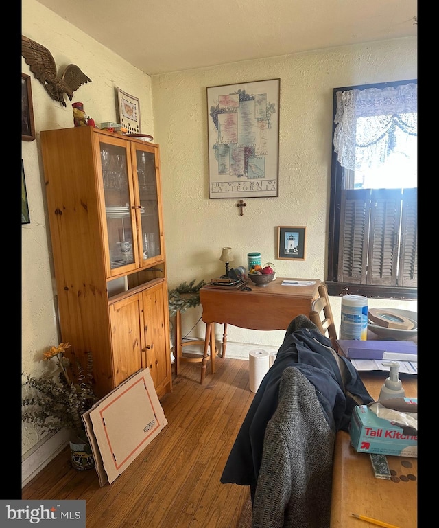 office featuring wood-type flooring