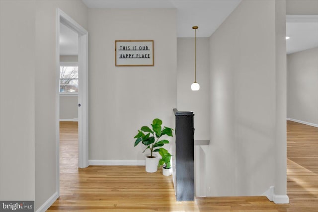 corridor with hardwood / wood-style floors