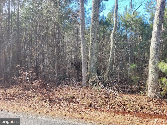 00E Bogey Neck Rd, Heathsville VA, 22473 land for sale