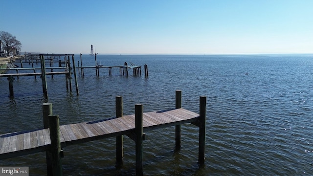 dock area with a water view