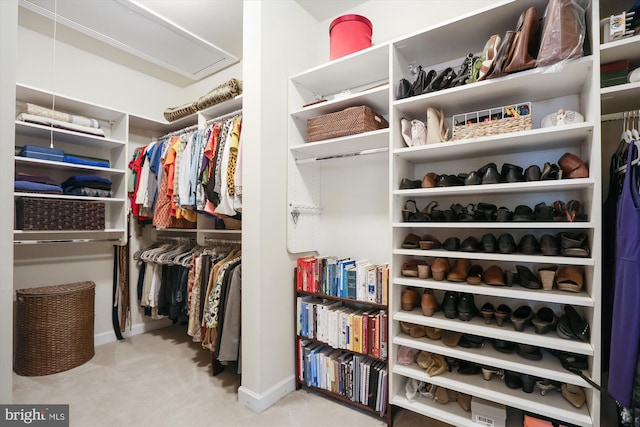 spacious closet with carpet