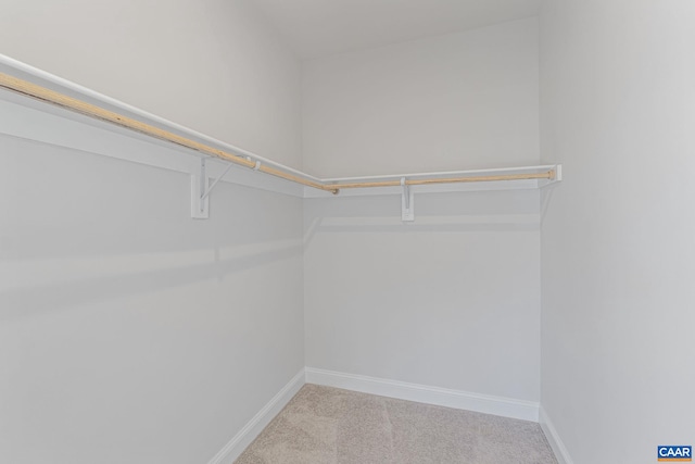 walk in closet featuring light carpet