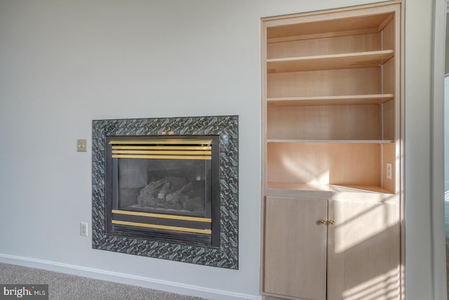 interior details with a premium fireplace and carpet flooring