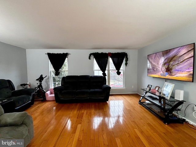 living room featuring light wood-type flooring