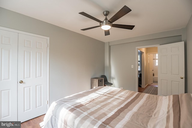 bedroom with light hardwood / wood-style flooring and ceiling fan