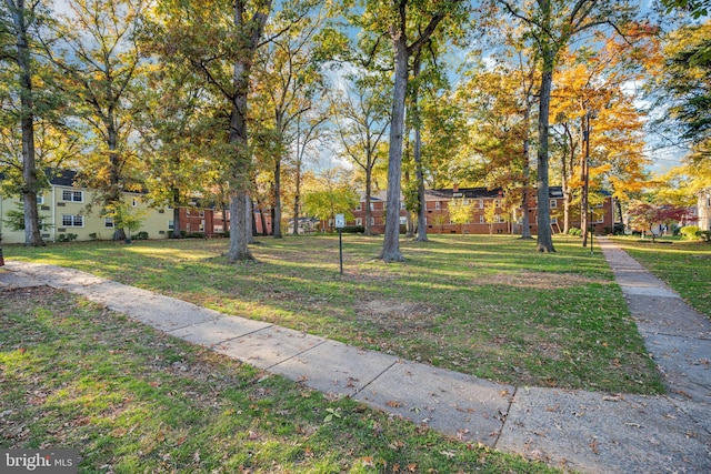 view of community featuring a lawn