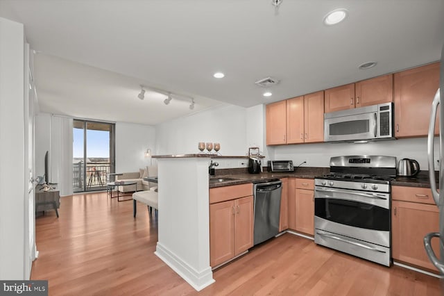 kitchen with stainless steel appliances, a wall of windows, light hardwood / wood-style floors, and kitchen peninsula