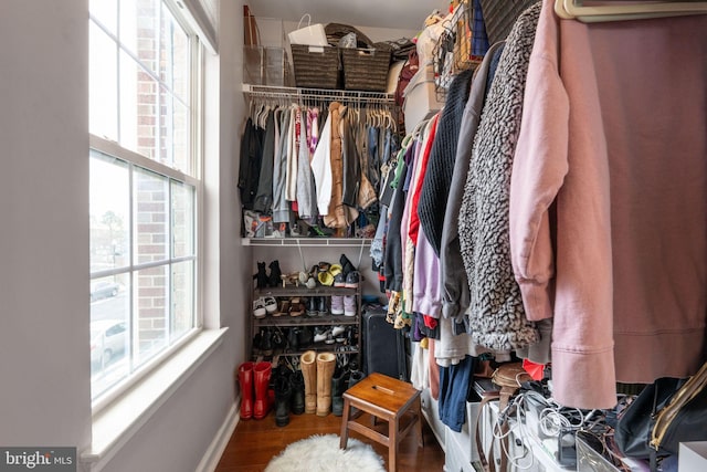 walk in closet with wood-type flooring