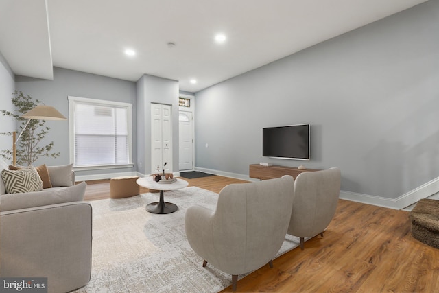 living room featuring hardwood / wood-style floors