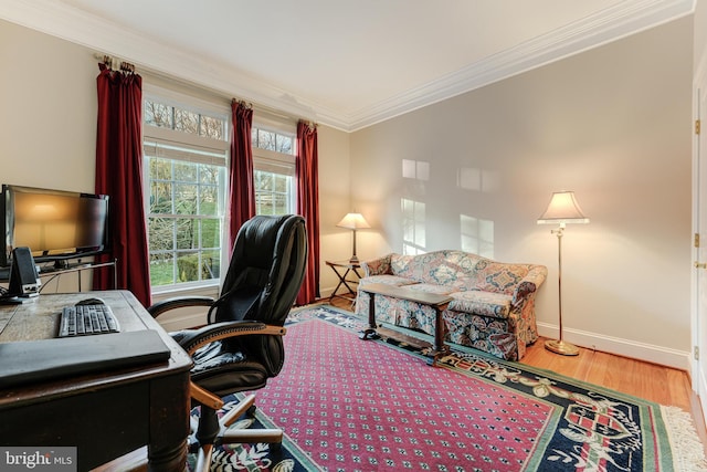 office featuring crown molding and hardwood / wood-style flooring