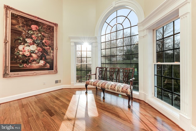 sitting room with wood-type flooring, a high ceiling, and plenty of natural light