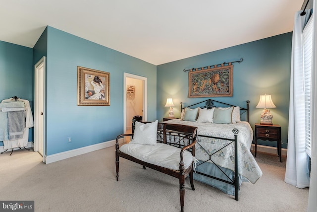 bedroom with a walk in closet, a closet, and carpet flooring