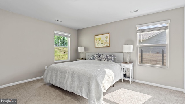18075 Coolidge Ln, Bowling Green, VA 22427 - bedroom featuring carpet floors and baseboards