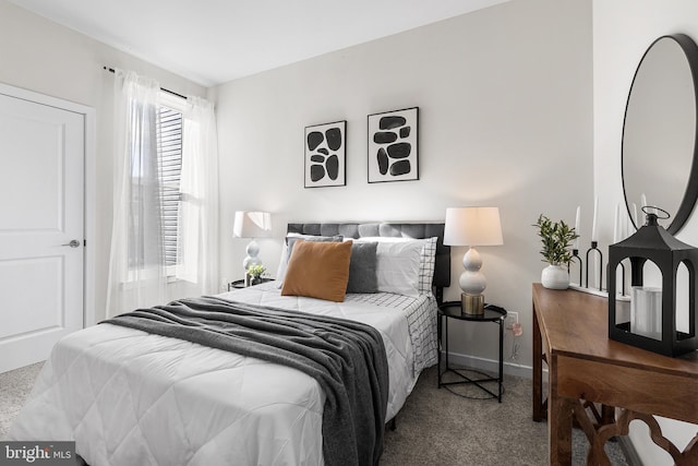 bedroom with carpet flooring