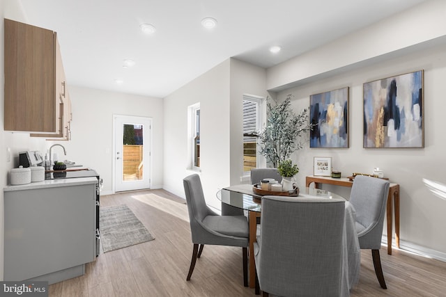 dining room with sink and light hardwood / wood-style flooring