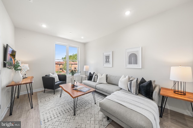 living room featuring light hardwood / wood-style flooring