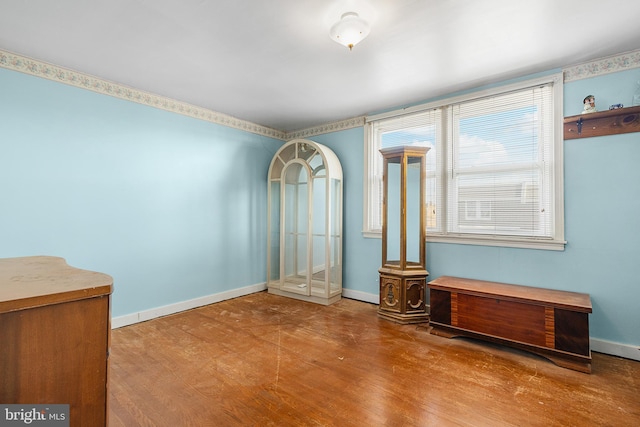 interior space featuring wood-type flooring